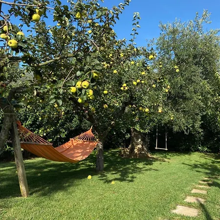 Il Trullo Del Lazzeruolo